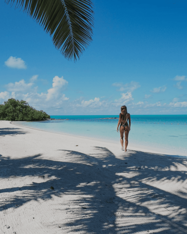 Caraïbes & Biosphère