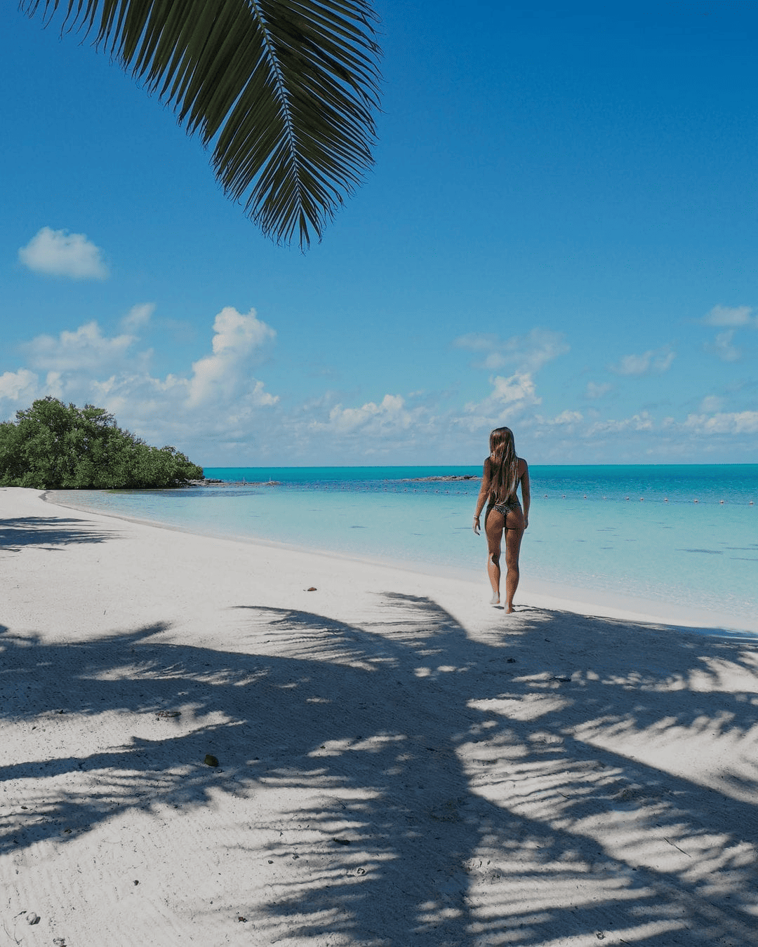 Caraïbes & Biosphère