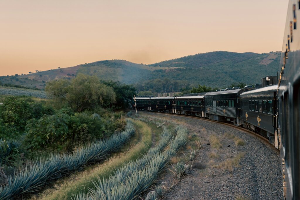 train-Maya-voyage-Mexique-Roadtrip-circuits-programmes-guide-local-francophone-Mexico-Tulum