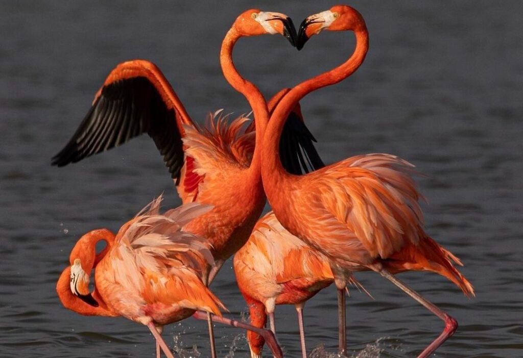 Mexique-Roadtrip-Yucatan-Tulum-circuits-guide-chauffeur-local-privé